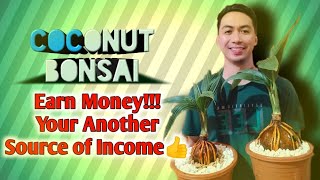 Earning from making Coconut Bonsai... How???