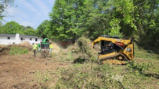 🏡Limpiando el patio trasero y moliendo todas las ramas y bejucos con espinas 🌳 nuevo hogar 🏡🌳