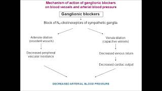 ganglionic blocker