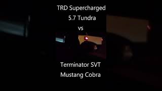 Terminator SVT Mustang Cobra vs TRD Supercharged 5.7 Tundra #Shorts