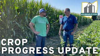 Late Season Crop Progress Update: OHBinBusters