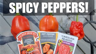 Pepper Showcase (Carolina Reaper, Burning Bush, Primero Red) [Adv.7]