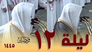 صلاة التراويح كاملة من الحرم النبوي 12 رمضان 1445 - خالد المهنا - عبدالله البعيجان