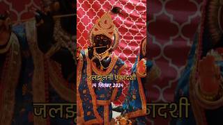 जलझूलनी एकादशी | Radhey Radhey #krishnastatus #ekadashi #viral #shorts #yt #status #kanha #radharani