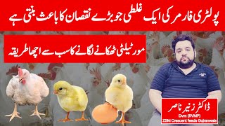 Best way to dispose chicken mortality | Dr Zunair Nasir