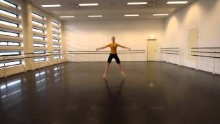 Audition NDT Summer Intensive 2016