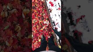 Fall in love with the season of Fall. Ft. Snow