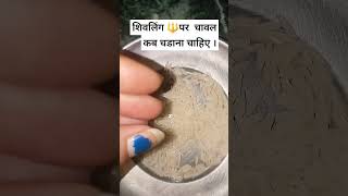 शिवलिंग पर चावल कब चढ़ाना चाहिए 🙏🕉️ #astrology #viral #rashifal #facts