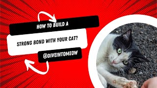 Top Tips for a Stronger Bond with Your Cat | Build Trust & Love