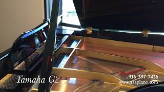 Yamaha G2 Grand Piano | AAA Piano