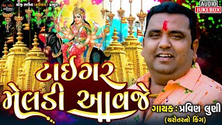 PRAVIN LUNI | MALATAJ MELDI MA REGDI | TIGER MELDI AAVJE | SHREEJI SOUND NADIAD