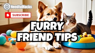 🐾 10 Must-Know Pet Care Hacks: Keep Your Furry Friend Happy! 🐶🐱#dogs  #dog #cat #shorts #catvideos