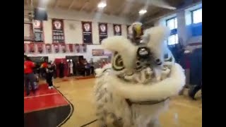 North Qunicy High 2023 Lunar New Year Festival | LION DANCE | #LionDanceKid #February #qari