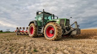 FENDT FAVORI 818 at PLOUGHING !