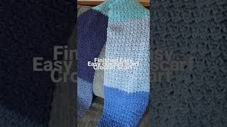 Easy Crochet Scarf FO for this week