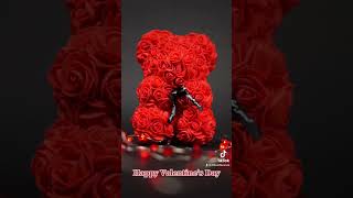 Happy Valentine’s Day #viral #tiktok #fy #viralvideo #love #viralshorts #viralreels #valentinesday