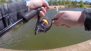 Fishing for KOI in a TINY Pond (WA)