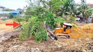 Good Experience For Deforestation And Delete Two Ponds By BulldozerD31P Pushing & Truck Unloading