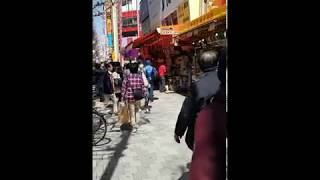 Japan - Tokyo - Akihabara