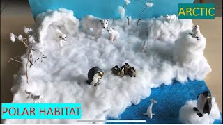 Polar habitat diorama |Arctic region project/ARCTIC MODEL |