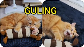 Si OYEN dan Gulingnya