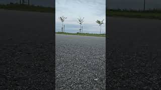 Mini rc car! over 30km/h 50$ FAST AND FUN