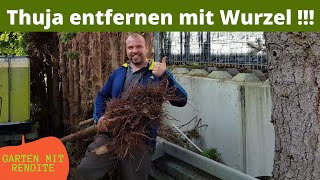 Thuja Entfernen mit Wurzel | Thujahecke entfernen + Outtakes