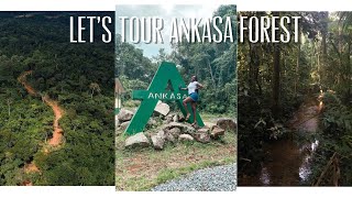 Ghana’s Largest Ever Green Wildlife Rain forest - Ankasa Forest Ghana - The Western Experience