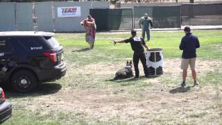 Jeff Azuar Memorial K9 Trials August 28/29 2015