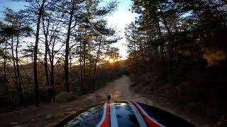 Doberman dirt biking at Brown Mountain OHV Trails, NC