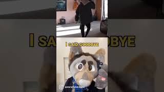 I Swallowed shampoo!! #furries #fursona #fursuit #edit #memes #skits #ytshorts