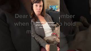 Why are you being so mean!! #dad #viral #foryou #shorts #fyp #funny #wife #puppy #weimaraner