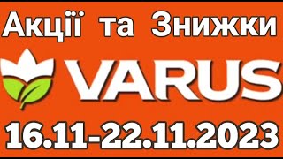 Акції VARUS з 16.11 по 22.11.2023 року #varus #акції #анонс #знижкиатб #цінинапродукти #оглядцін