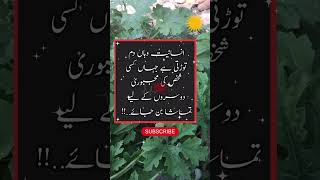 Islamic video #tiktok #quote #viralvideo #islamic #islamicvideo #religion #musicapp #poetry