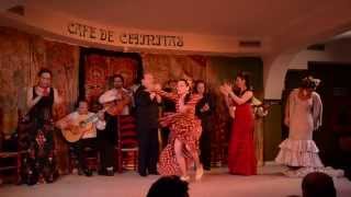 Flamenco - Achilipú