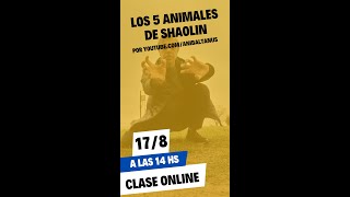 Los 5 Animales de Shaolín - Clase Abierta y Gratuita