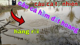 câu cá hầm đất tự nhiên√ trở lại điểm câu cá tra và cái kết @CuongFising