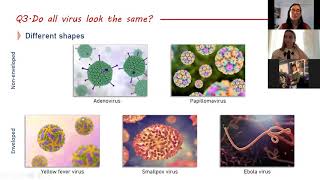 Viruses and viral diseases: 20 FAQ and science-targeted answers for everyone