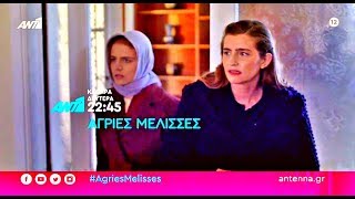 ΑΓΡΙΕΣ ΜΕΛΙΣΣΕΣ - ΕΠΕΙΣΟΔΙΟ 82 (2/3/2020) TRAILER