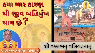 કયા ચાર કારણોથી જીવ બહિર્મુખ થાય છે ? | શ્રી મહાપ્રભુજી નું વસિયતનામું | વલ્લભ ની આસુરવ્યામૂરલીલા