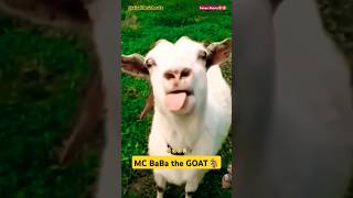 MC Baba the GOAT🐐🐐🤣 | Oko Lela Epa Ya nani ft MC BaBa #viralshorts #mcbaba #funny #comedy