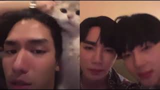 Zee's Cat Vs Net's Cat😯No Difference🤭🤏#cutiepie #zeenunew #zeepruk #nunew #netjames #netjames