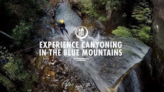 Experience Canyoning in the Blue Mountains