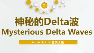 神秘的Delta波，Mysterious Delta Waves