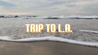 taking a trip to l.a. w/ friends | vlog