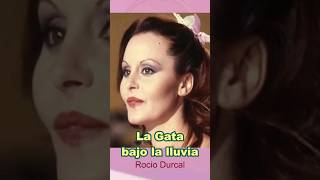 LA GATA BAJO LA LLUVIA-Rocio Durcal