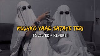 mujhko yaad sataye teri [ Slowed and Reverb ] lofi song | Music Lover