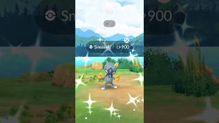 Shiny Hisuian Sneasel Pokemon GO