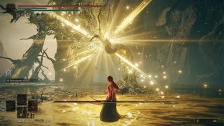 Dancing with the Shadow Sunflower | Elden Ring - Scadutree Avatar (No Hit, NG+)