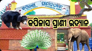 Kapilash Zoologycal Park //କପିଳାସ //Kapilash since park #odiavlog #trending